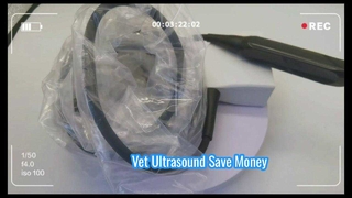 پروب سونوگرافی Mindray 75L50EAV Vet